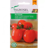 Hectarul - Tomate Silvia tip Rio Grande Agrosel 0.5g